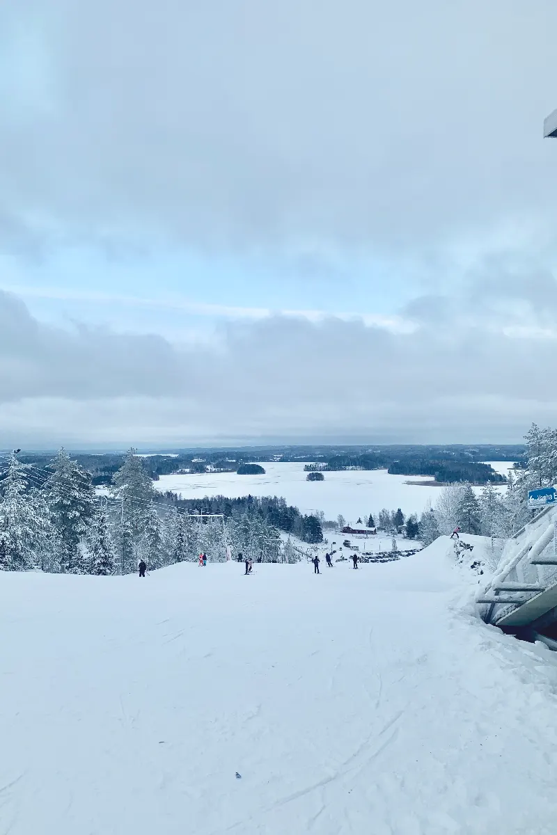 Villa Breikki Sastamala, Ellivuori